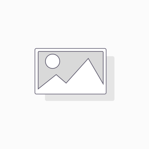 LDG Electronics  RU-4:1 Unun
